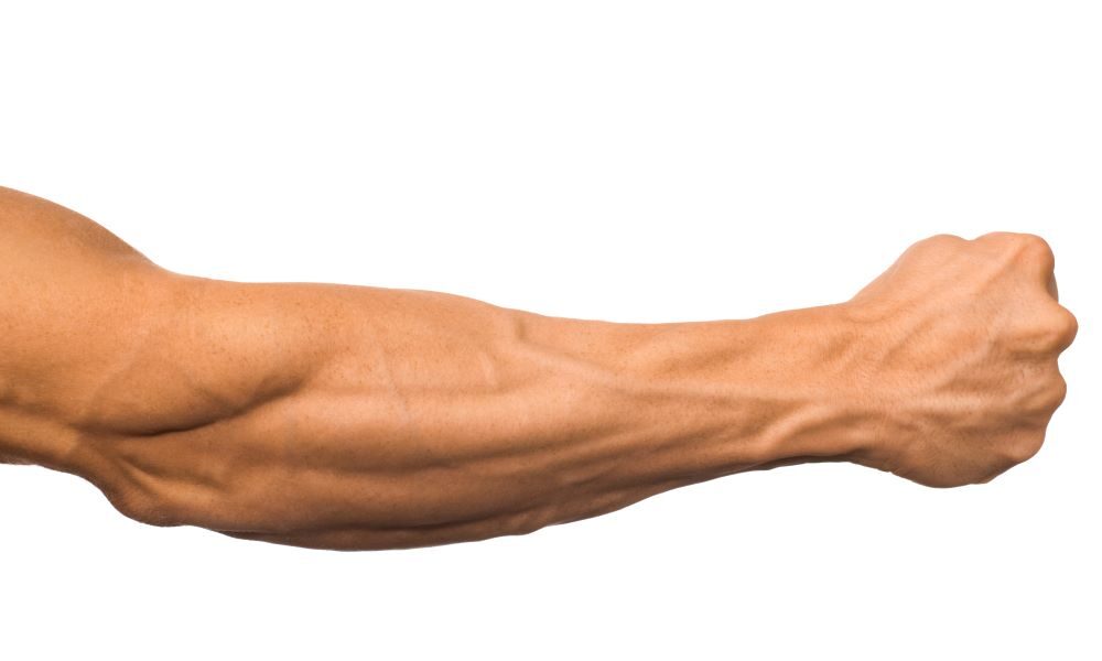 Mięśnie w przedramieniu – budowa i ćwiczenia na mięśnie  przedramienia
