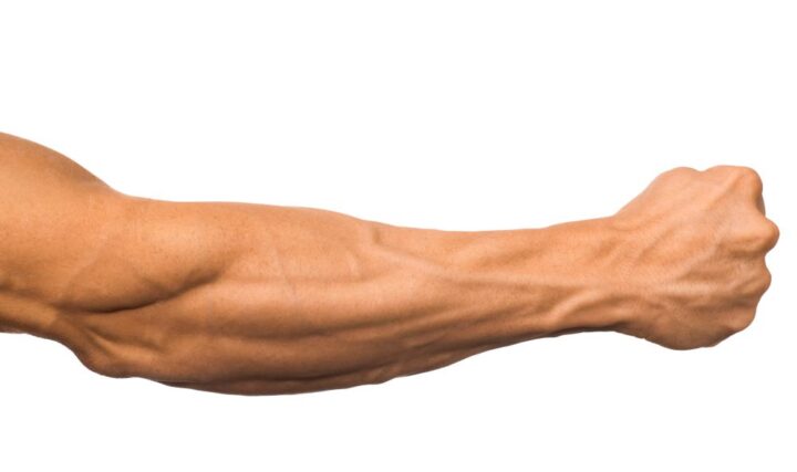 Mięśnie w przedramieniu – budowa i ćwiczenia na mięśnie  przedramienia