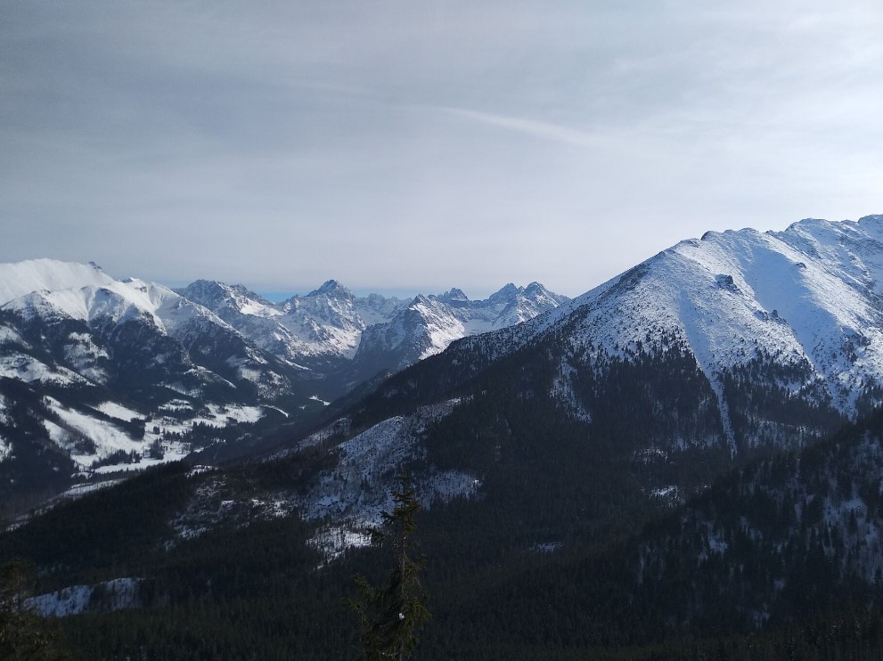 Krajobraz z Gęsiej Szyi Gęsia szyja widok na tatry