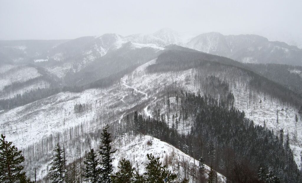 Nosal - widok na Tatry widok ze szczytu nosala