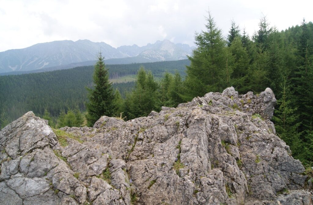 Łatwe szlaki w Tatrach - Wielki Kopieniec szczyt wielkiego kopieńca