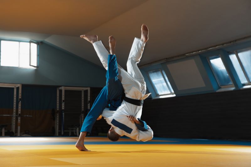 Przerzut w judo sztuki walki - rodzaje dla każdego. walka dwóch judoków na sali