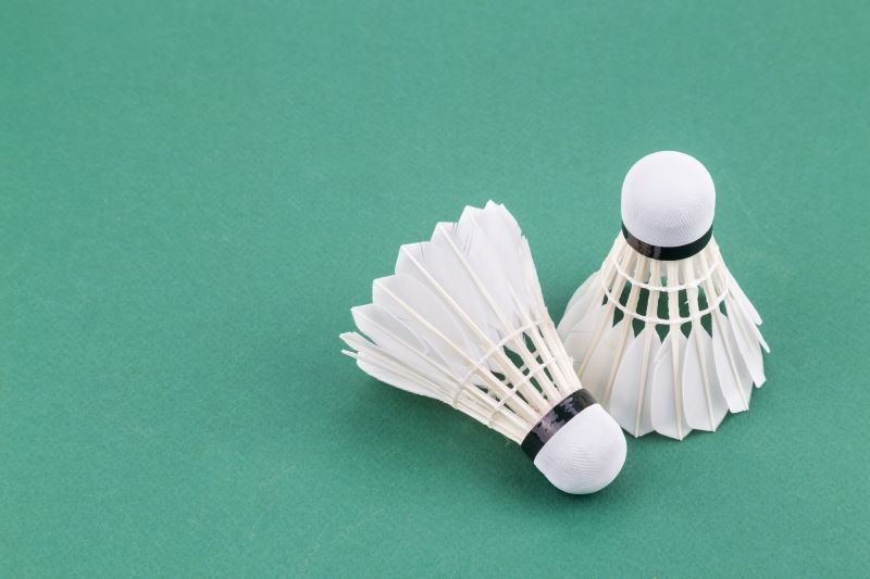 Badminton - zasady wymiarów lotki lotki do gry w badmintona